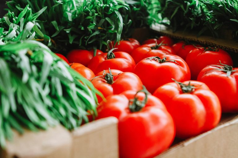 The Humble Tomato: A Nutritional Powerhouse on Your Plate